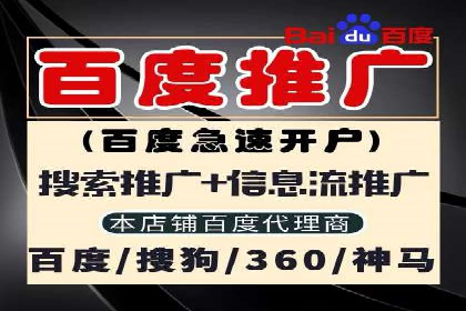 竞价推广策略解析：实战案例分析